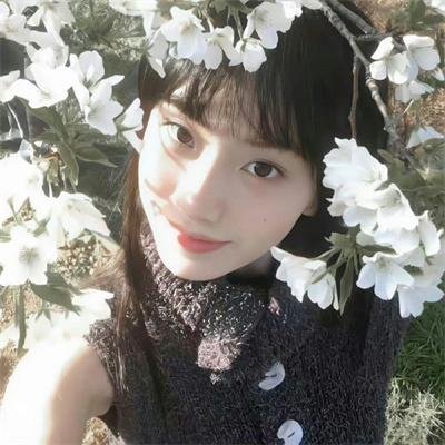 新荡女芬妮